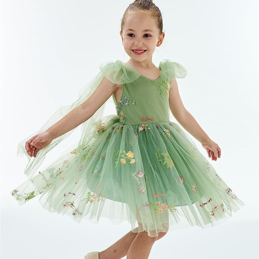 Enchanted Fairy Embroidered Dress in Green – Little London Lady