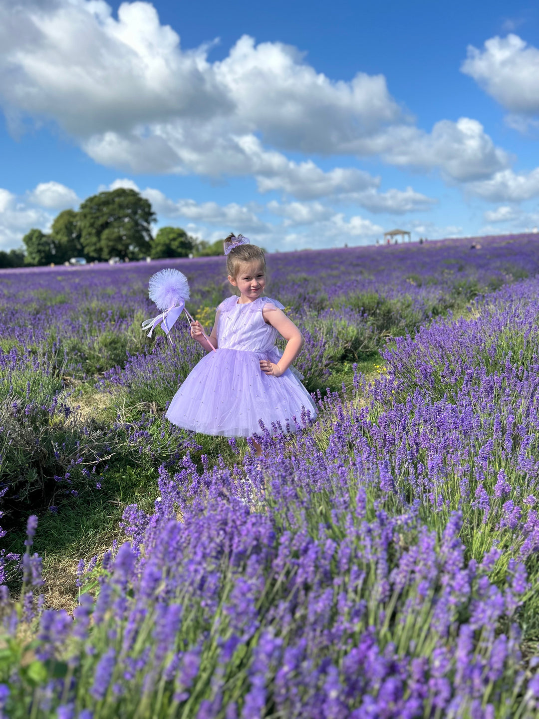 Girls Tutu Dress in lavender.