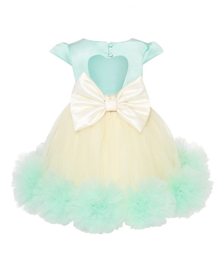 Girls tutu dress