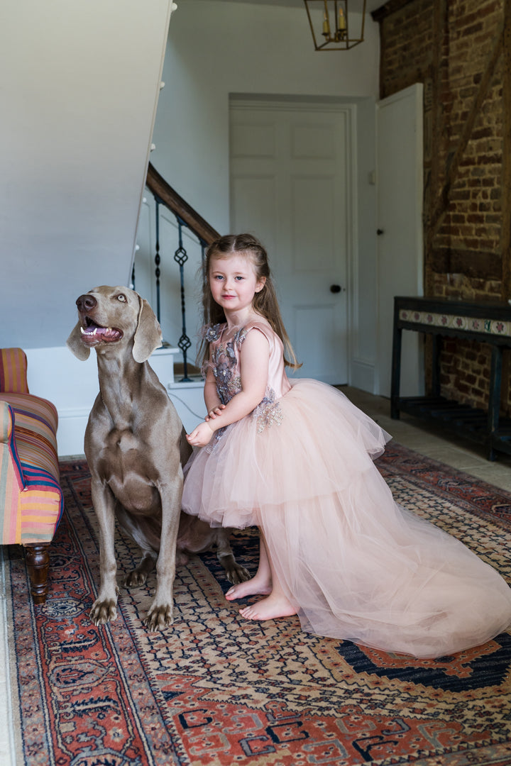 Girls Tutu Dress in Pink