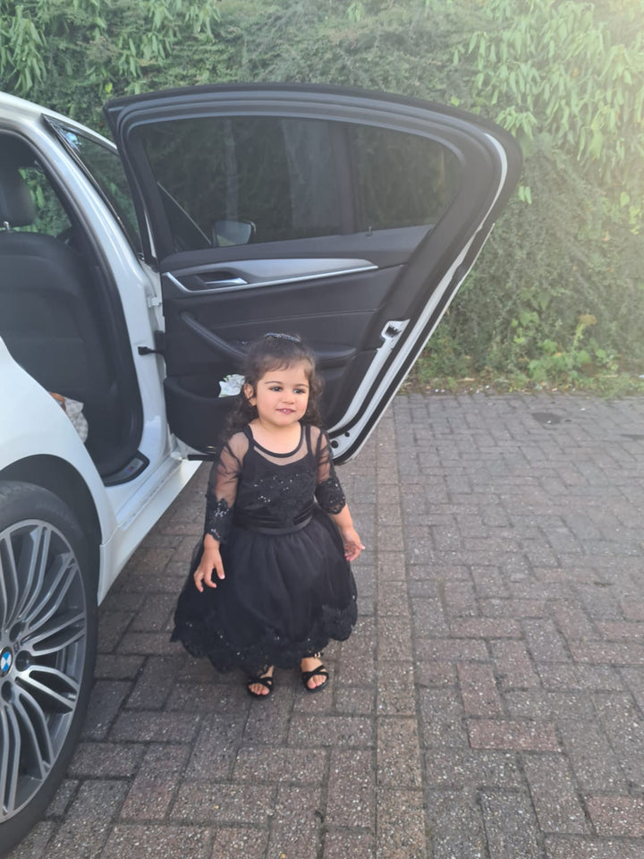 Lily Lace Dress in Black sparkle