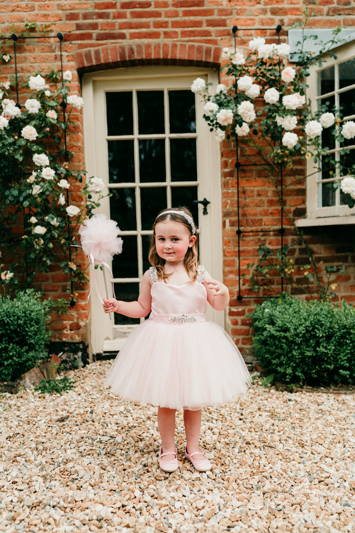 Sweet Pea Embellished Tutu Dress in Baby Pink – Little London Lady