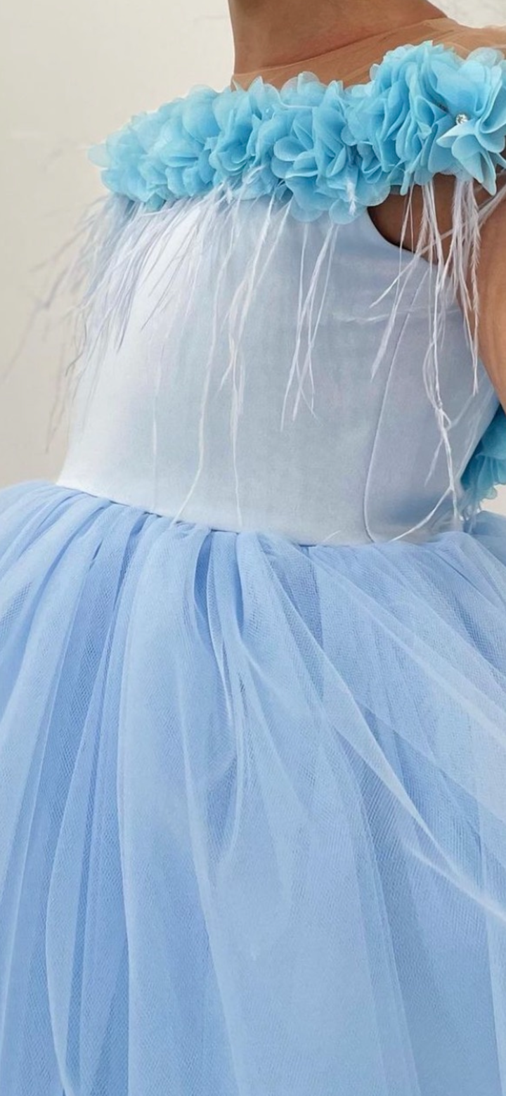 Barbie pink tutu dress