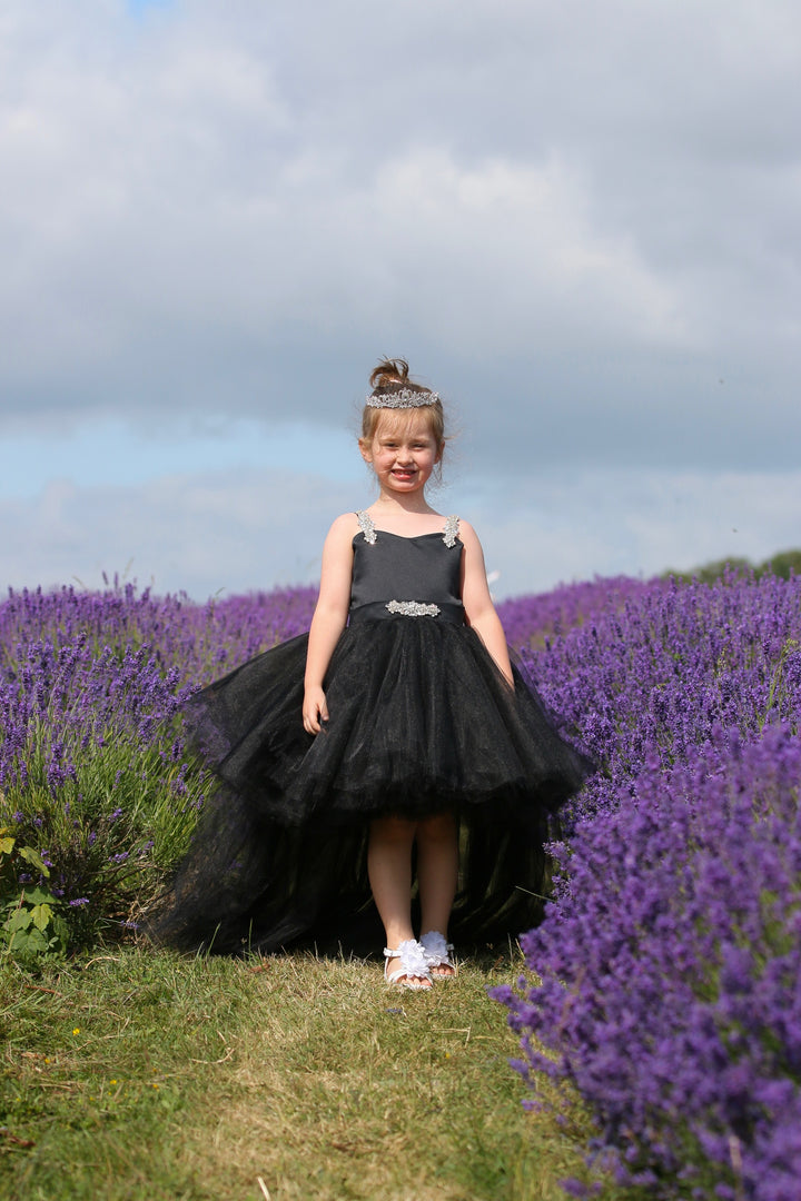 Baby Tutu dress